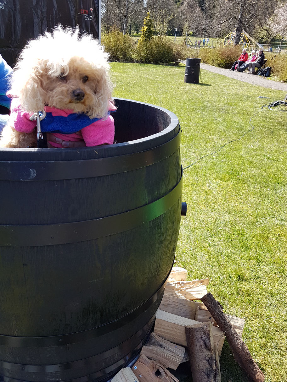 Urlaub mit dem Hund im Harz