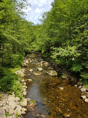 Wandern im Harz