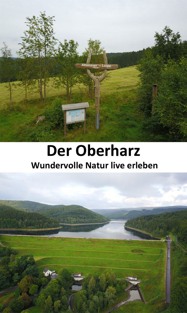 Oberharz Altenau Harz Natur erleben